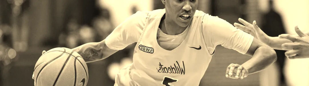 Bethune-Cookman Wildcats Basketball