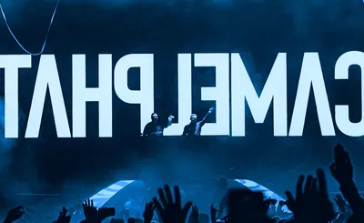 Camelphat