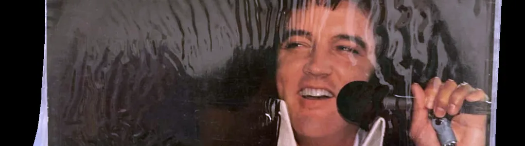 Elvis In Concert