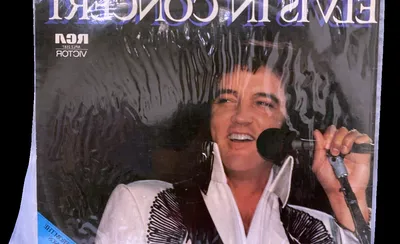 Elvis In Concert