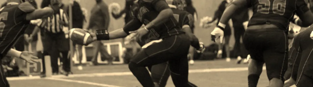 Florida A&M Rattlers Football