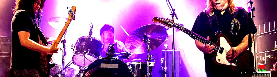 Gov't Mule