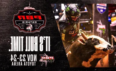 PBR: Teams Series