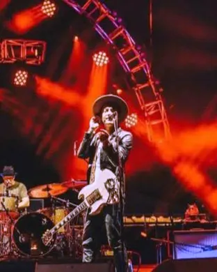 The Wallflowers