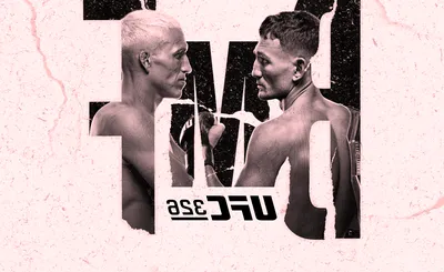 UFC 327