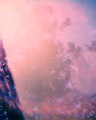 Voyage - A Journey Tribute