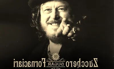 Zucchero