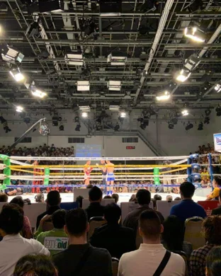 Misfits Boxing