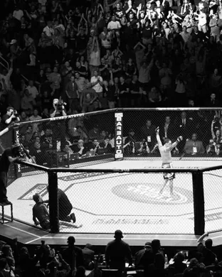 Fists of Fury Series