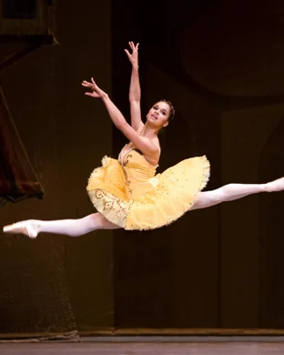 Hollywood Ballet Academy Fort Lauderdale